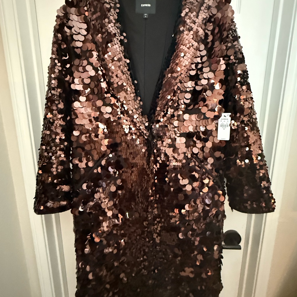 Express Bronze/Brown Sequin Blazer